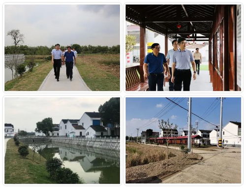 白墻黑瓦 水清路明,江陰的農村正越來越美